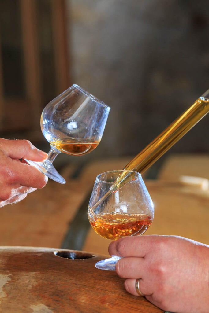 IMG_1906101171_Ardèche (07) Saint Martin d'Ardèche Soutirage Chais de vieillissement, le whisky du Tanargue._