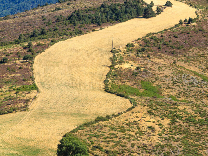 IMG_19088118_Lozère (48) Le Pompidou Parc National des Cévennes Corniche des cévennes le site du Tableau_
