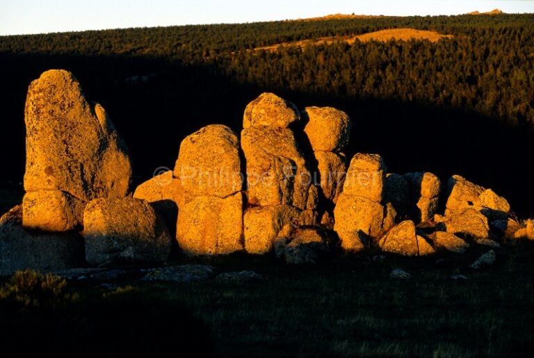 Mont Lozère